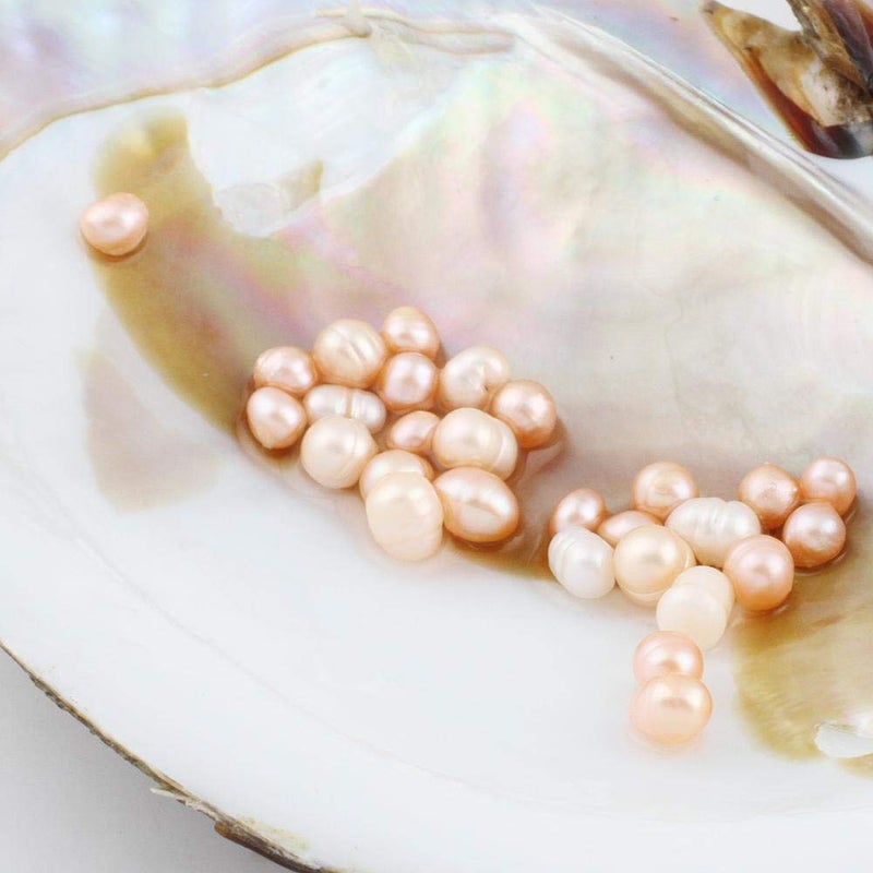 jessie Big Oysters with Plenty of Pearls Inside, 1 PC Cultured Freshwater Oyster Pearl for Jewelry Making or Birthday Gifts (5-7mm) - Image 4